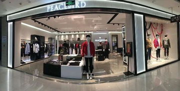 太平鳥 從日用百貨到時(shí)尚品牌的成功逆襲